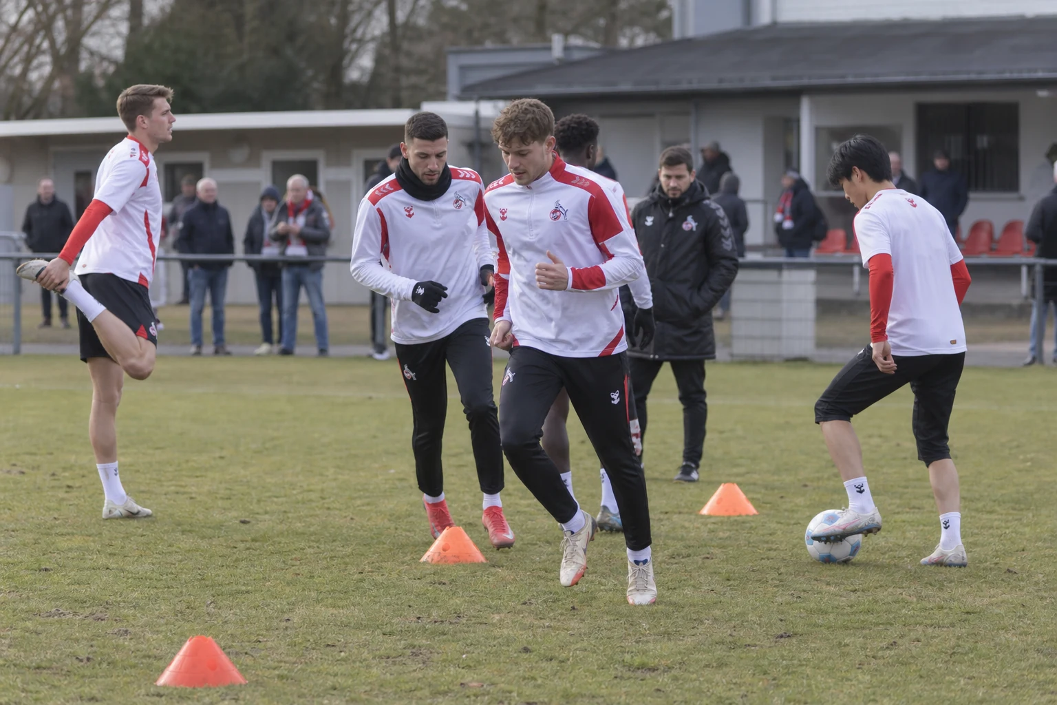Köln lånar ut Niang till St Pauli